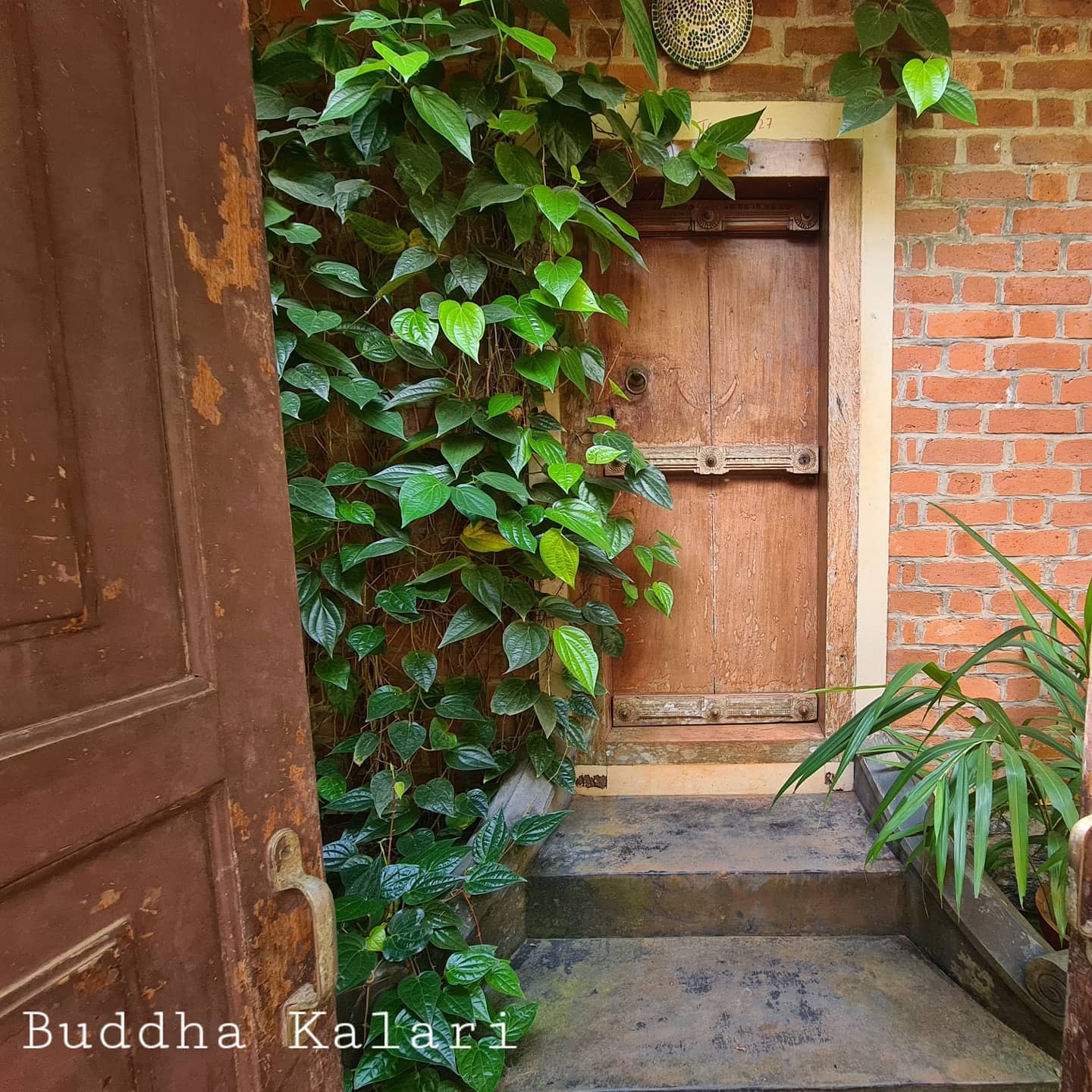 Serene entrance to Buddha Kalari Academy with traditional Kerala architecture surrounded by lush tropical vegetation and natural beauty